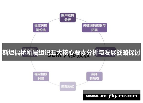 斯坦福桥所属组织五大核心要素分析与发展战略探讨