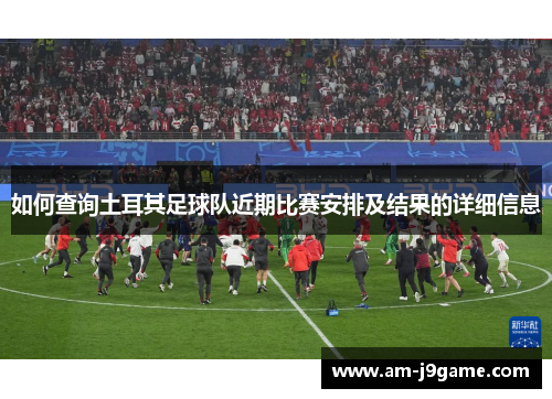 如何查询土耳其足球队近期比赛安排及结果的详细信息