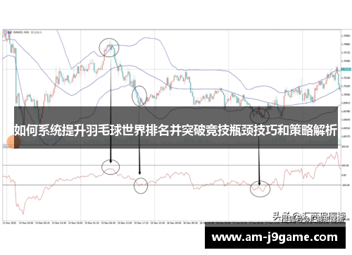 如何系统提升羽毛球世界排名并突破竞技瓶颈技巧和策略解析