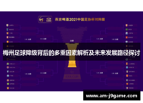 梅州足球降级背后的多重因素解析及未来发展路径探讨