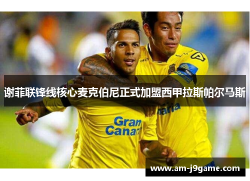 谢菲联锋线核心麦克伯尼正式加盟西甲拉斯帕尔马斯 谢菲联锋线核心麦克伯尼正式加盟西甲拉斯帕尔马斯