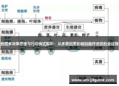 费南多决策思维与行动模式解析:从多重因素影响到最终选择的全过程 费南多决策思维与行动模式解析:从多重因素影响到最终选择的全过程